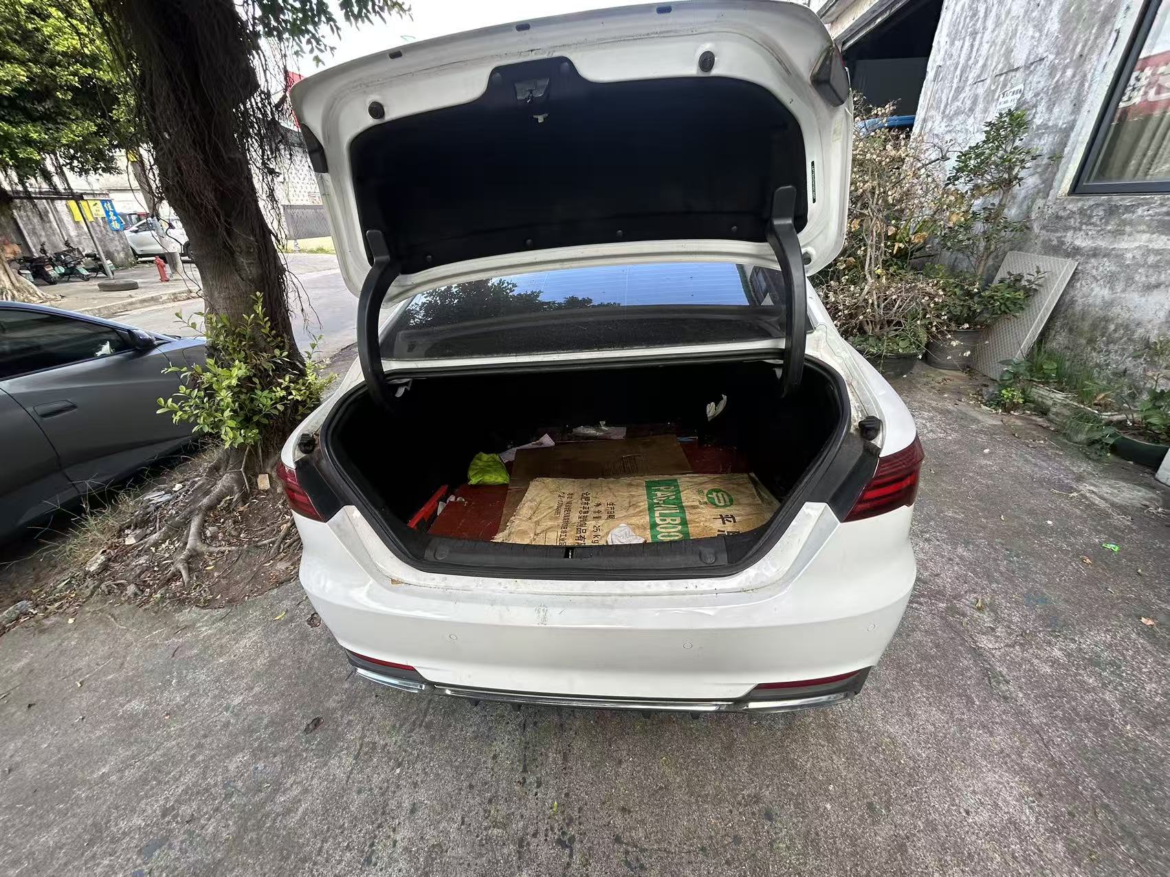 GEELY Binray 2019 imagen de coche #6