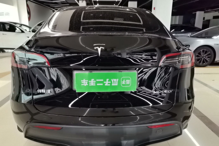 Tesla Model Y 2023 #6 Tesla Model Y 2023 car image #6