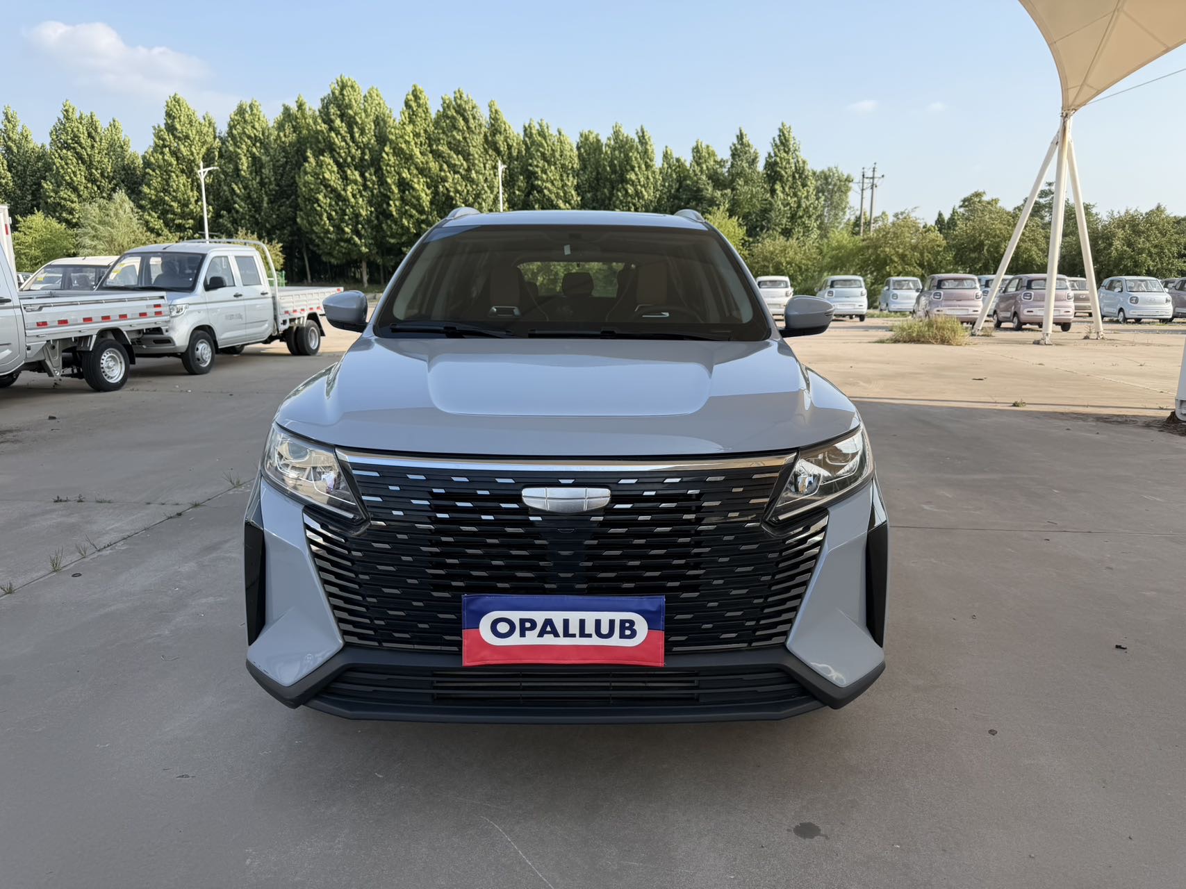 GEELY OkavangoPRO 2024 #2 GEELY OkavangoPRO 2024 image de voiture #2