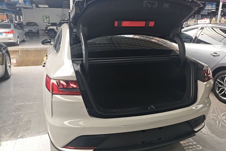 BYD Han 2021 #21 BYD Han 2021 immagine di auto #21