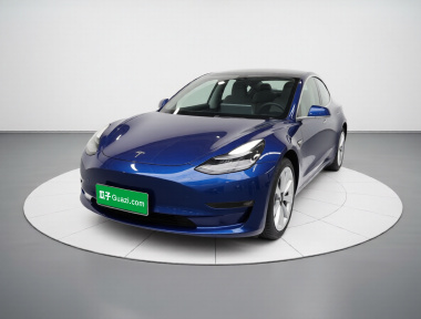 Tesla Model 3 2020 car image 