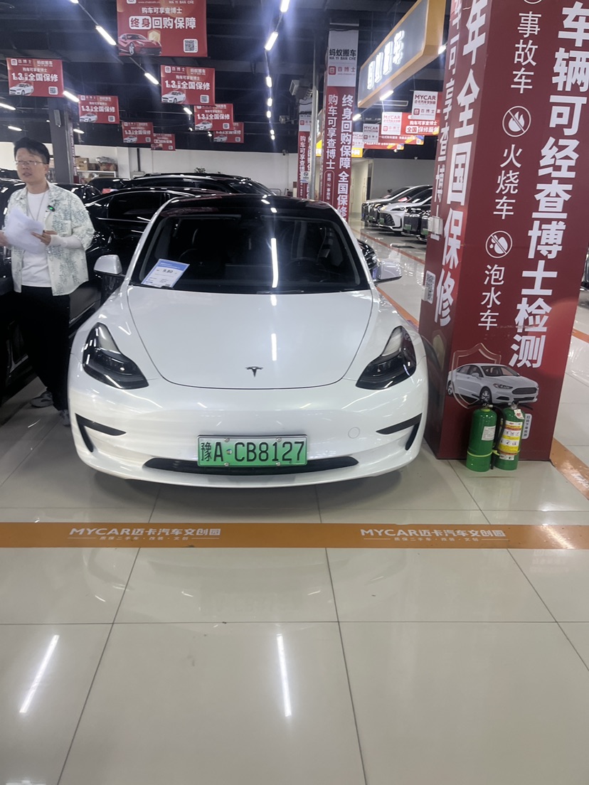 Tesla Model 3 2021 car image 