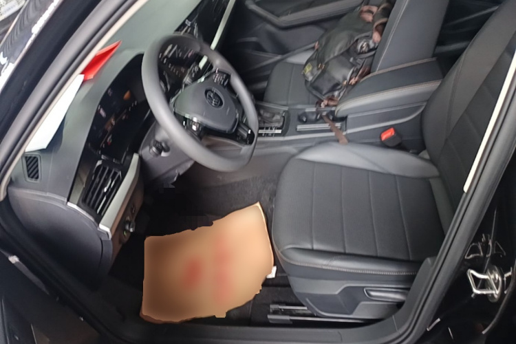 Volkswagen Lavida 2021 car image #19