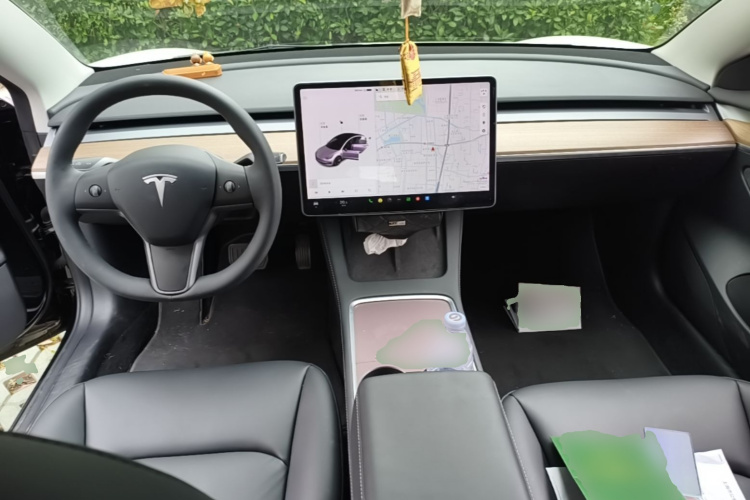 Tesla Model 3 2021 car image #10