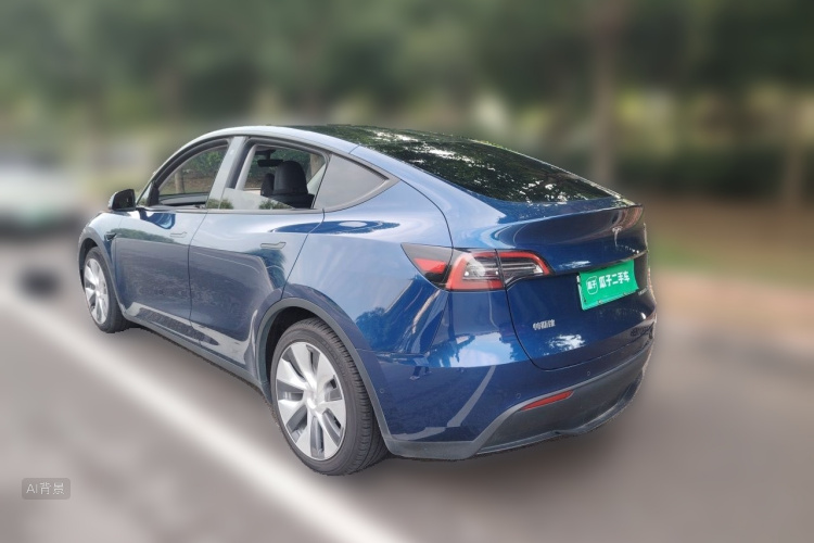 Tesla Model Y 2023 car image #5