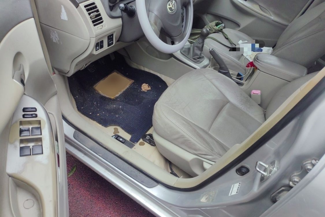 Toyota Corolla 2010 car image #25
