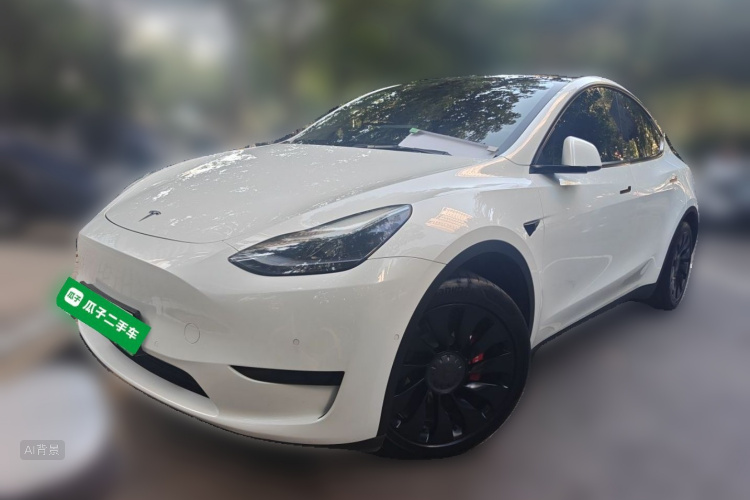 Tesla Model Y 2022 car image #2