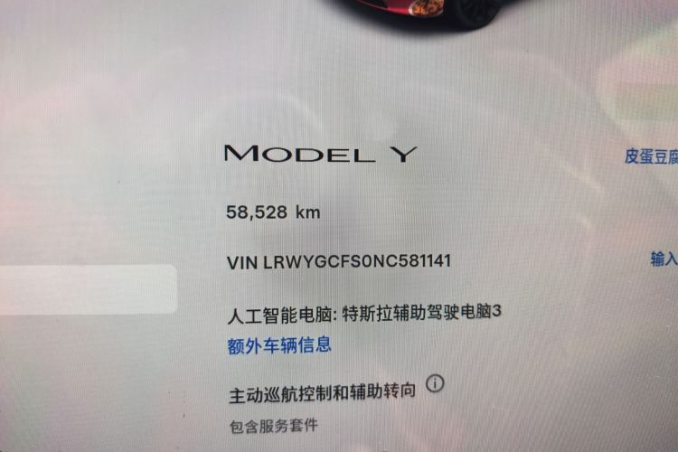 Tesla Model Y 2022 imagen de coche #10