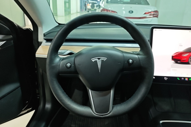 Tesla Model 3 2022 #15 Tesla Model 3 2022 immagine di auto #15
