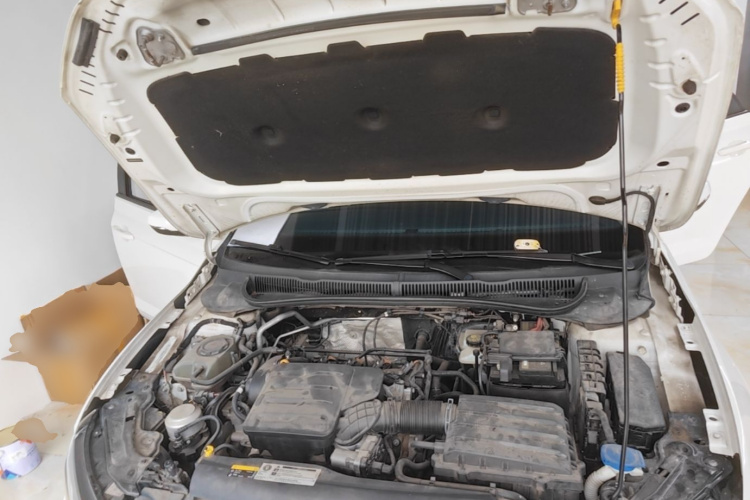 Volkswagen Polo 2020 car image #20