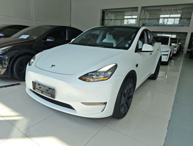 Tesla Model Y 2023 Tesla Model Y 2023 car image