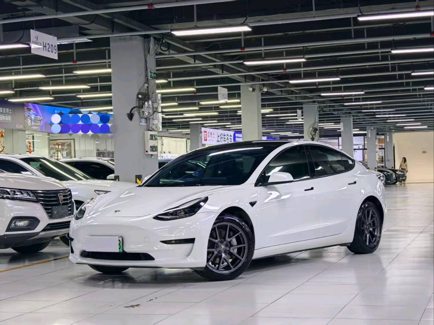 Tesla Model 3 2021 Tesla Model 3 2021 immagine di auto