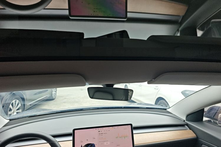 Tesla Model 3 2020 car image #18