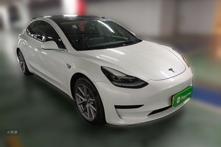 Tesla Model 3 2020 imagem de carro #4