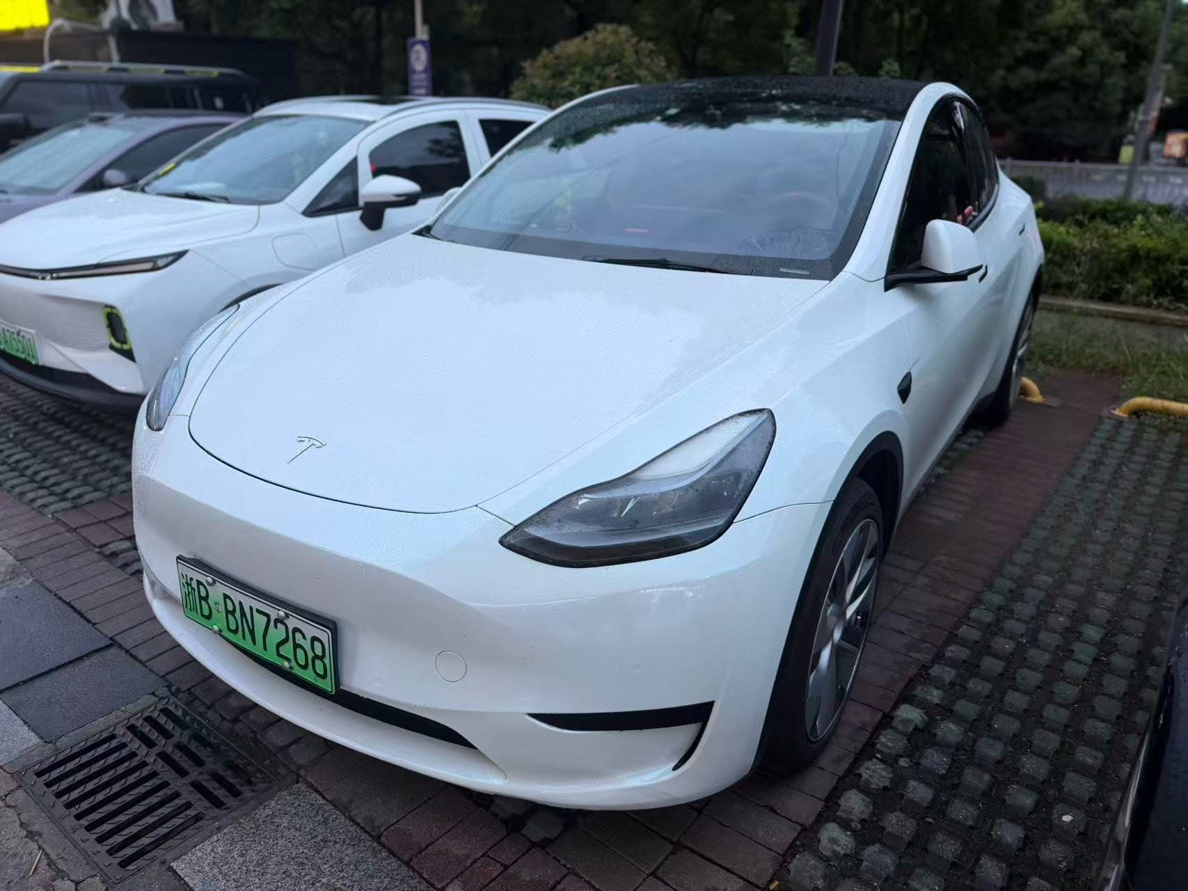 Tesla Model Y 2022 Tesla Model Y 2022 car image