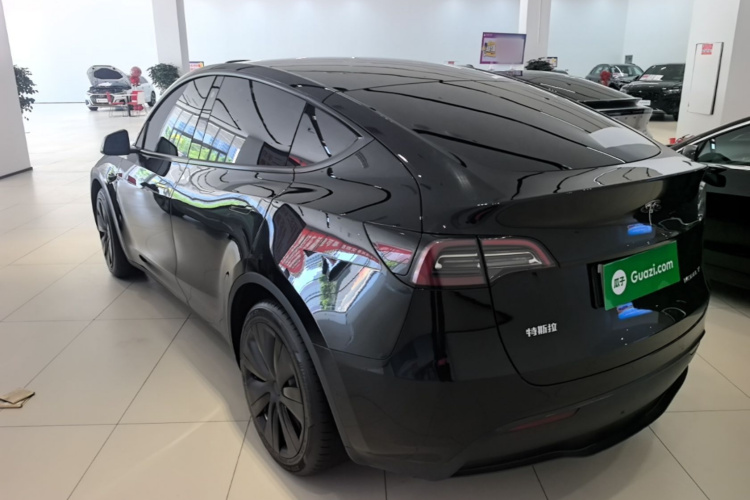 Tesla Model Y 2023 immagine di auto #5