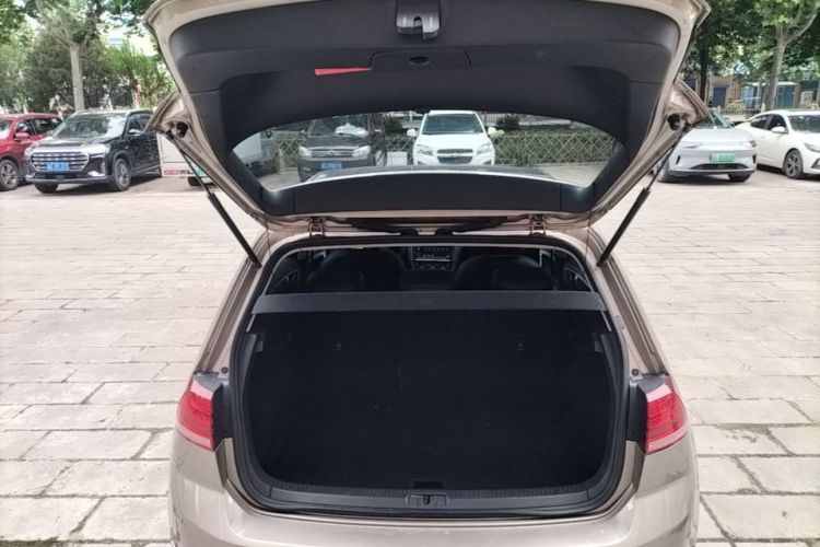Volkswagen Golf 2020 car image #19