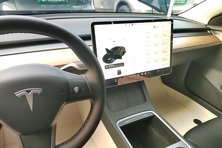 Tesla Model 3 2022 car image #14