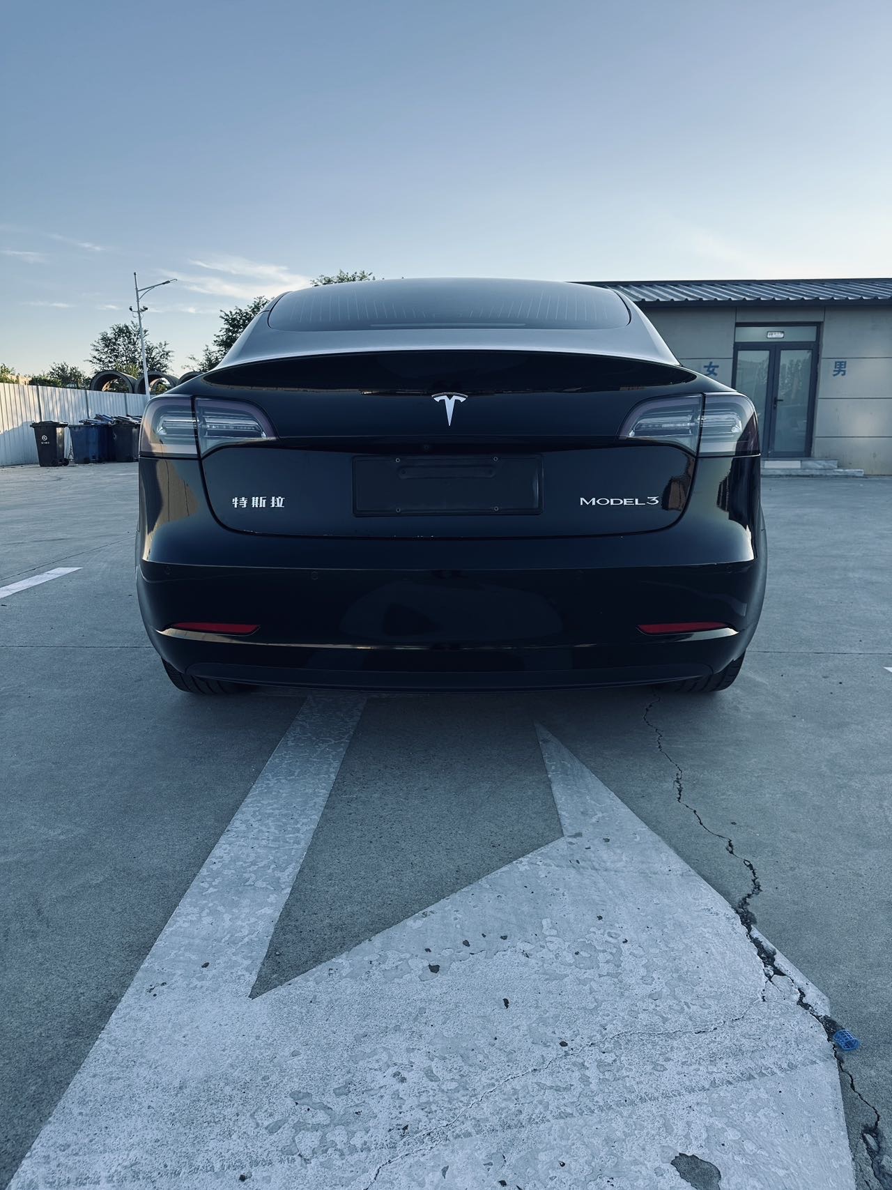 Tesla Model 3 2020 #8 Tesla Model 3 2020 car image #8
