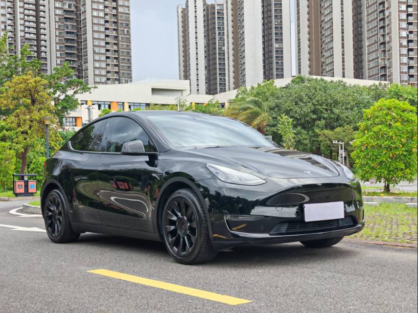 Tesla Model Y 2021 #3 Tesla Model Y 2021 car image #3
