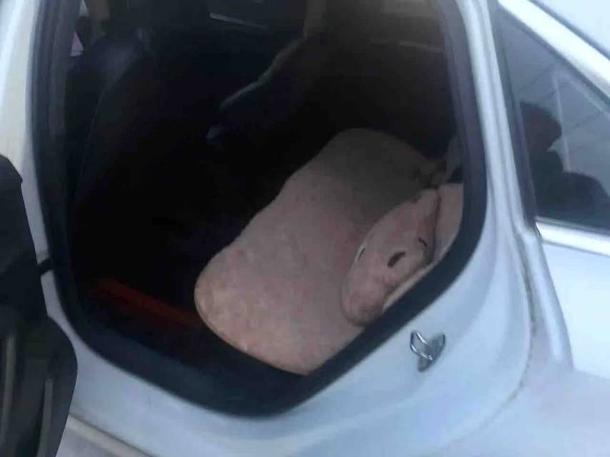 2022 #3 2022 car image #3