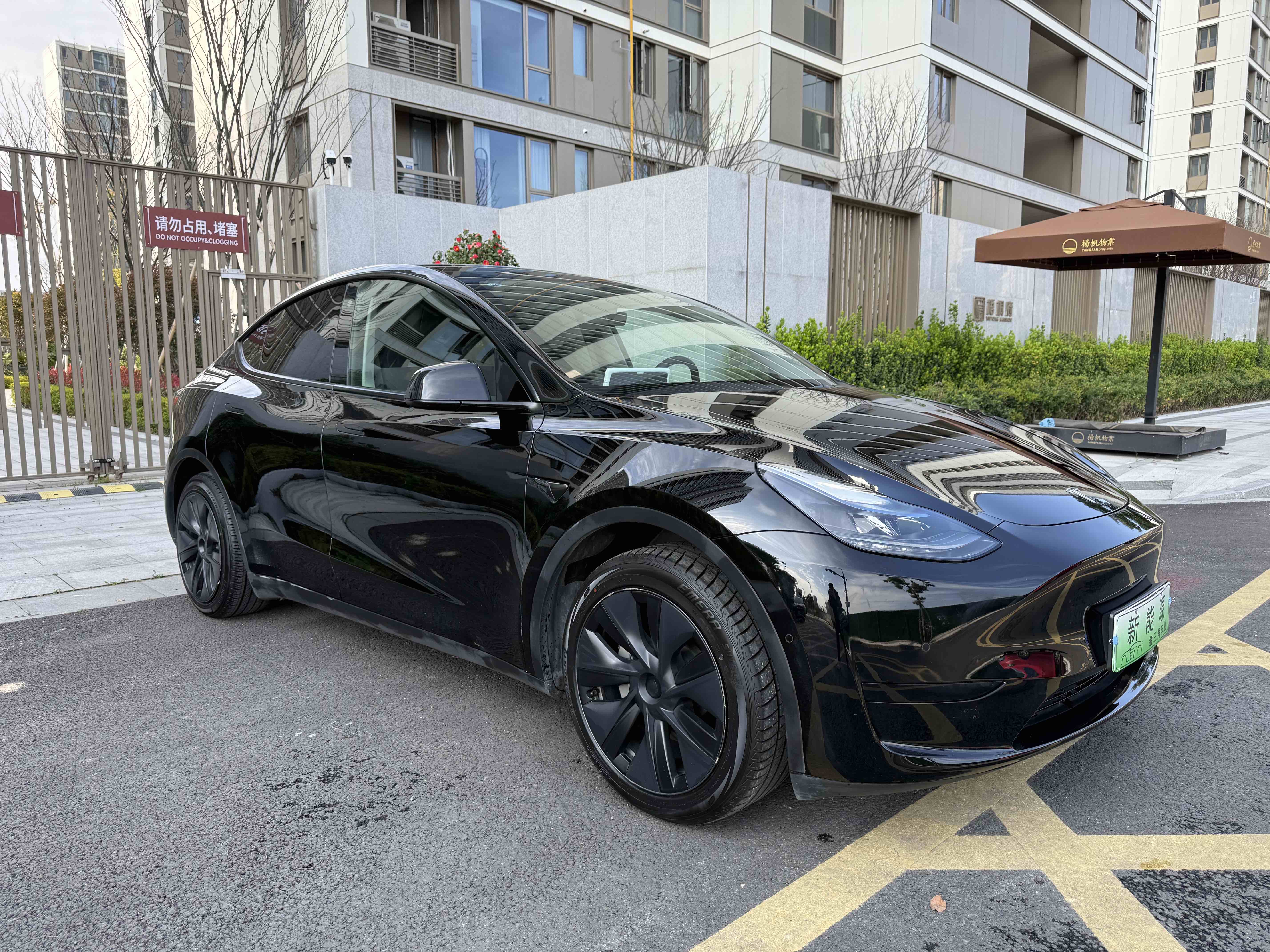 Tesla Model Y 2024 #5 Tesla Model Y 2024 car image #5