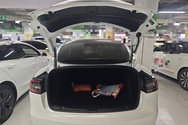 Tesla Model 3 2021 #19 Tesla Model 3 2021 car image #19