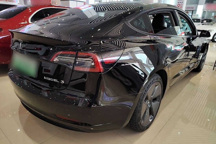Tesla Model 3 2021 #7 Tesla Model 3 2021 car image #7