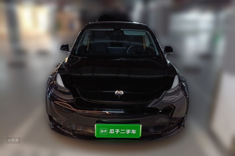 Tesla Model 3 2020 car image #3