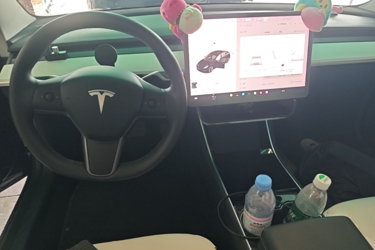 Tesla Model 3 2020 #10 Tesla Model 3 2020 car image #10