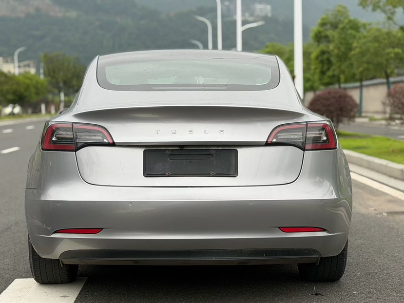 Tesla Model 3 2021 #8 Tesla Model 3 2021 car image #8