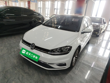 Volkswagen Golf 2019 car image 
