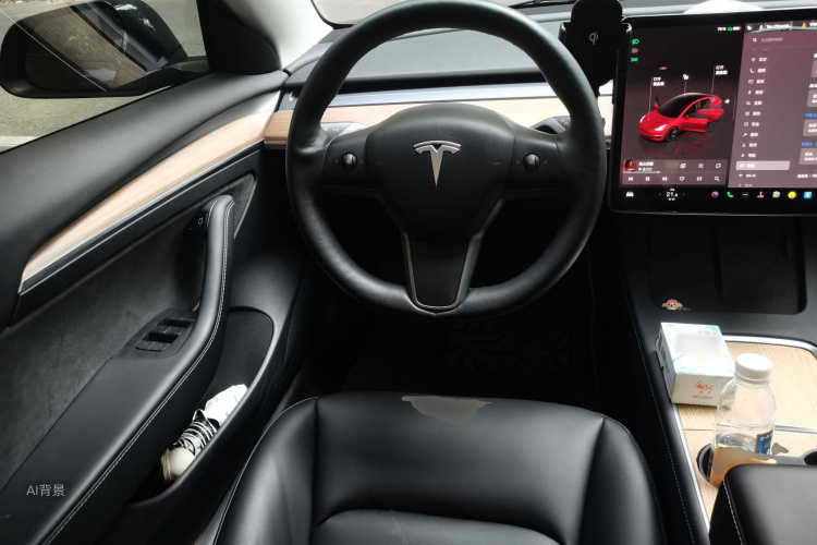 Tesla Model 3 2022 car image #12