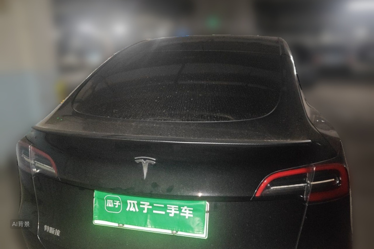 Tesla Model Y 2023 car image #6