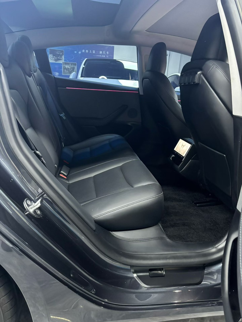 Tesla Model 3 2023 #6 Tesla Model 3 2023 car image #6