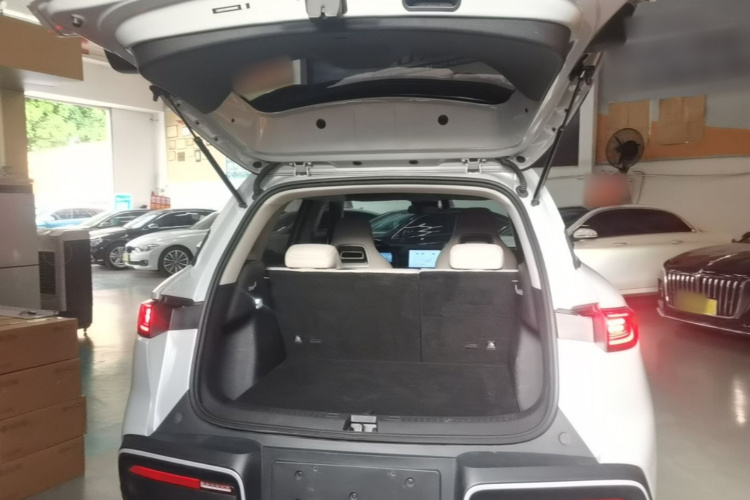 BYD YuanUP 2024 #19 BYD YuanUP 2024 immagine di auto #19
