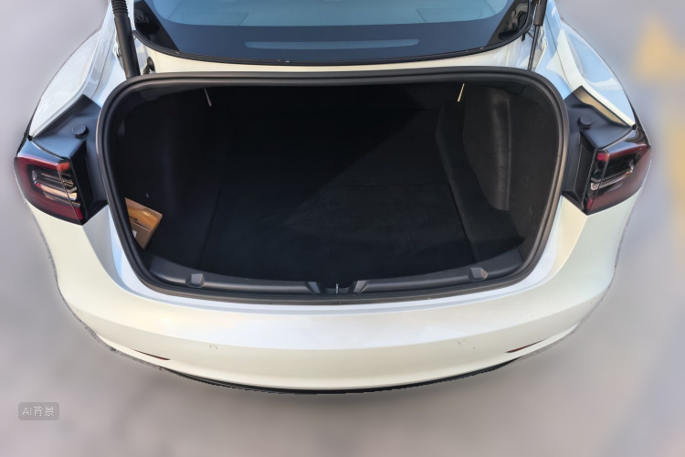 Tesla Model 3 2021 car image #21