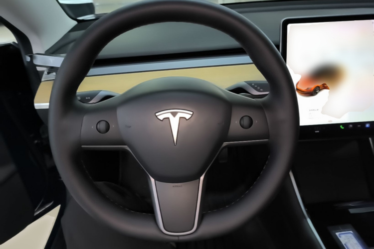 Tesla Model 3 2020 #11 Tesla Model 3 2020 car image #11