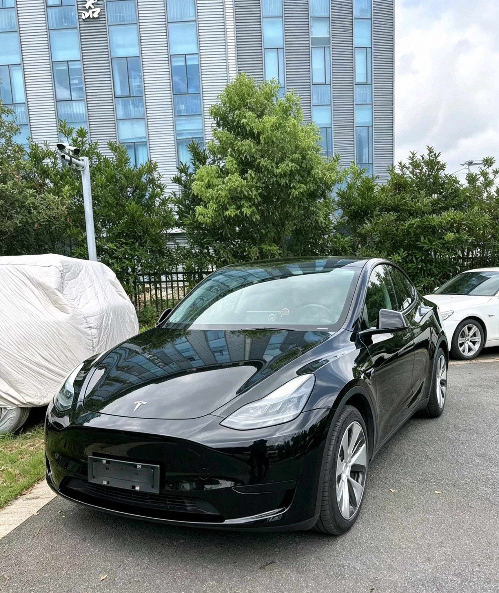 Tesla Model Y 2022 Tesla Model Y 2022 car image