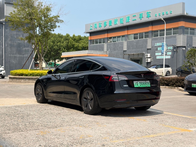 Tesla Model 3 2020 car image #6