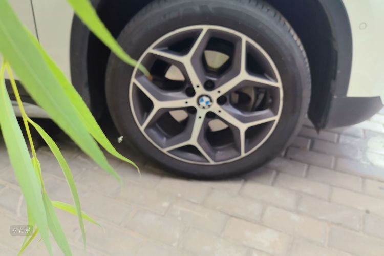 BMW X1 2019 car image #9