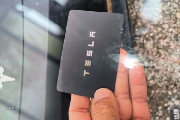 Tesla Model 3 2022 #10 Tesla Model 3 2022 car image #10