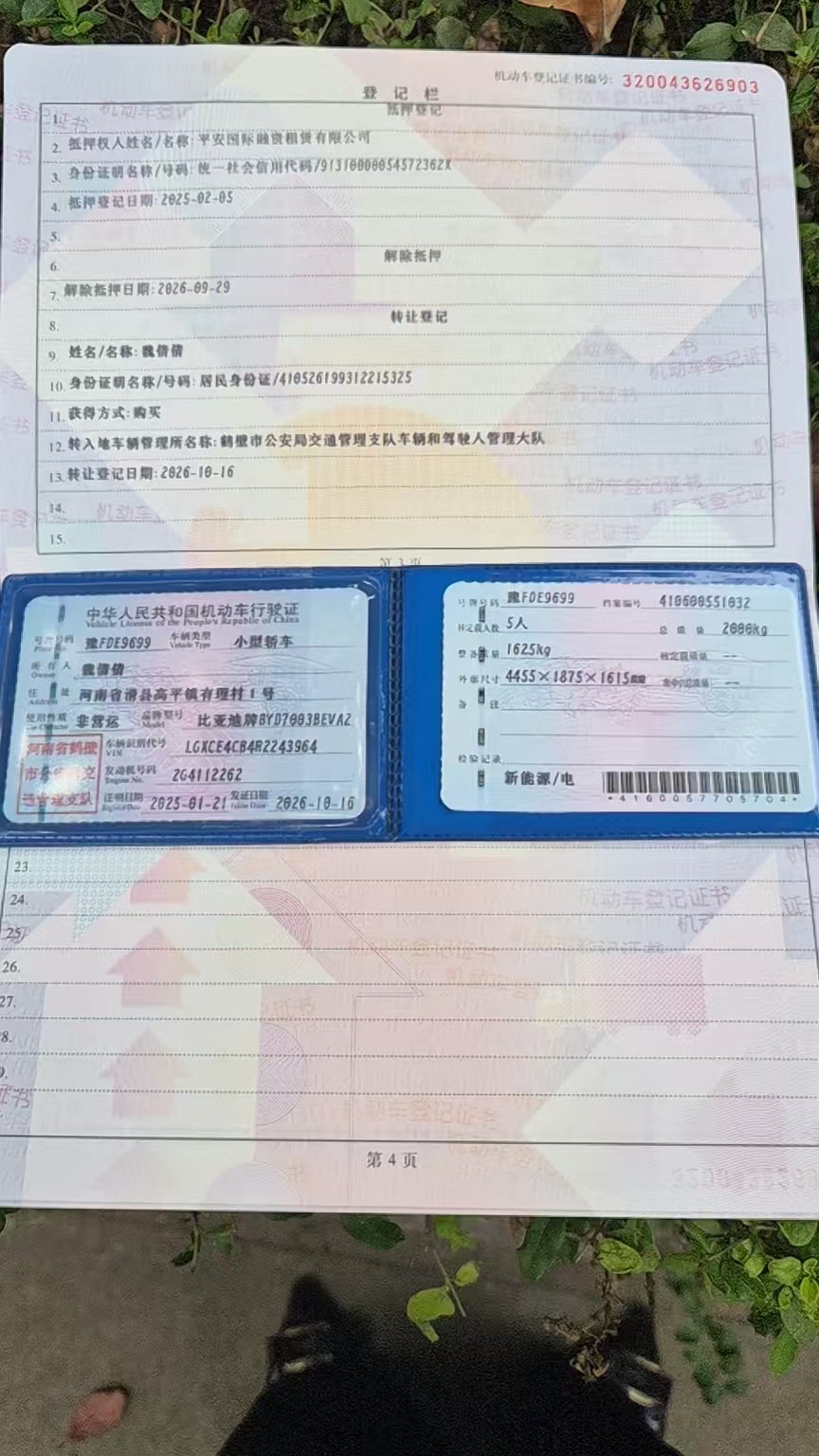 BYD Yuan Plus 2025 imagen de coche #10