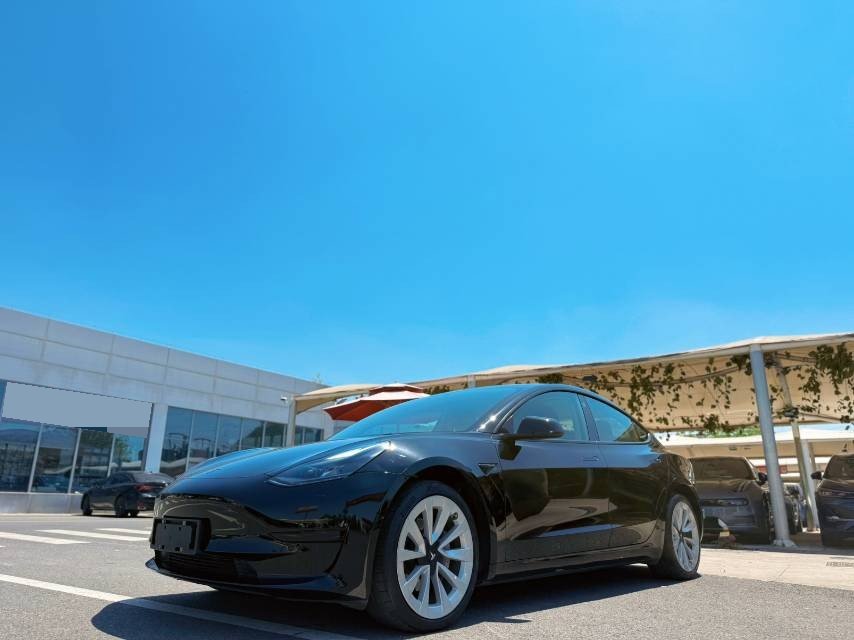 Tesla Model 3 2022 Tesla Model 3 2022 car image