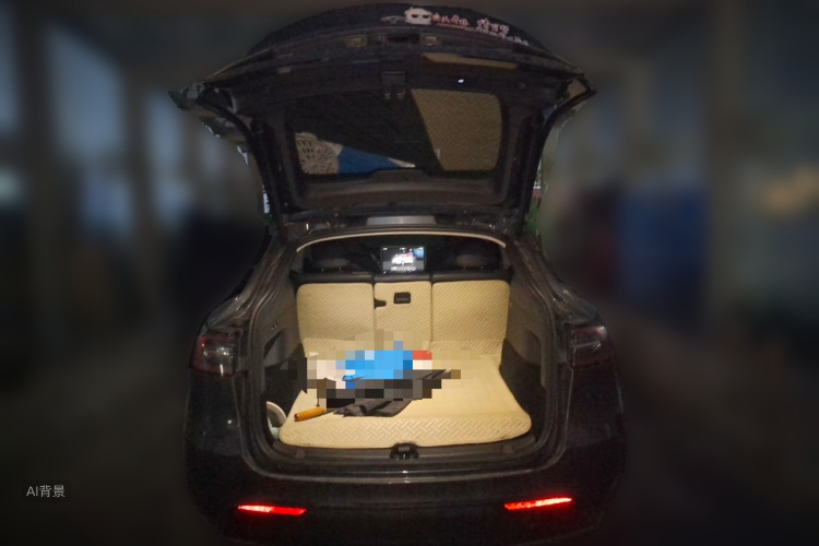 Tesla Model Y 2023 car image #21