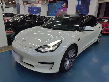 Tesla Model 3 2021 Tesla Model 3 2021 imagen de coche