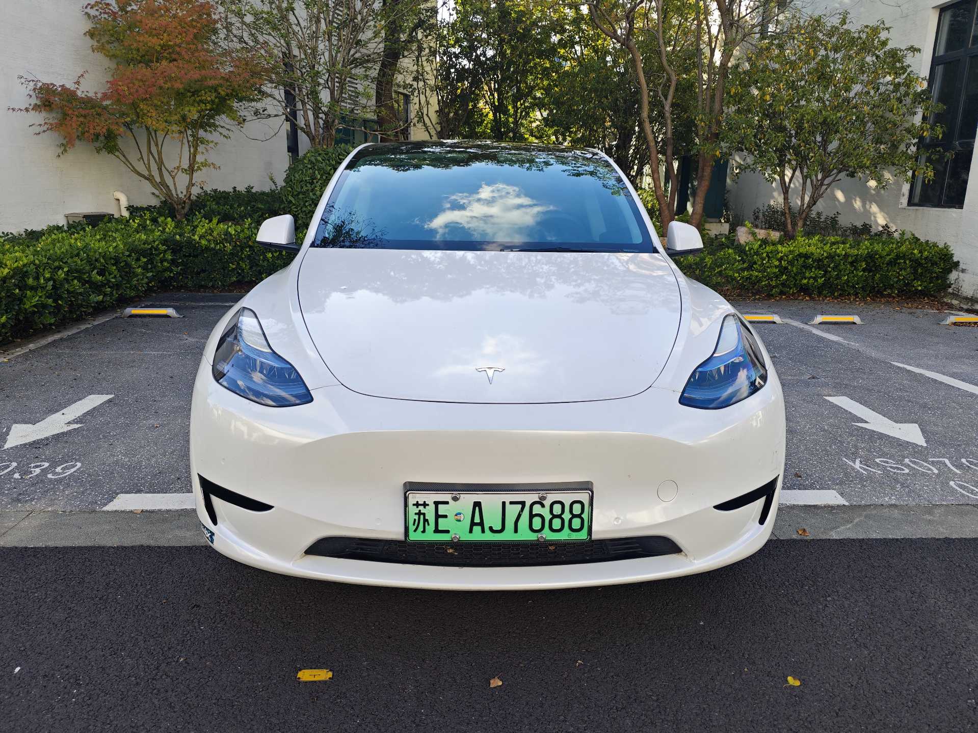 Tesla Model Y 2023 imagem de carro #2