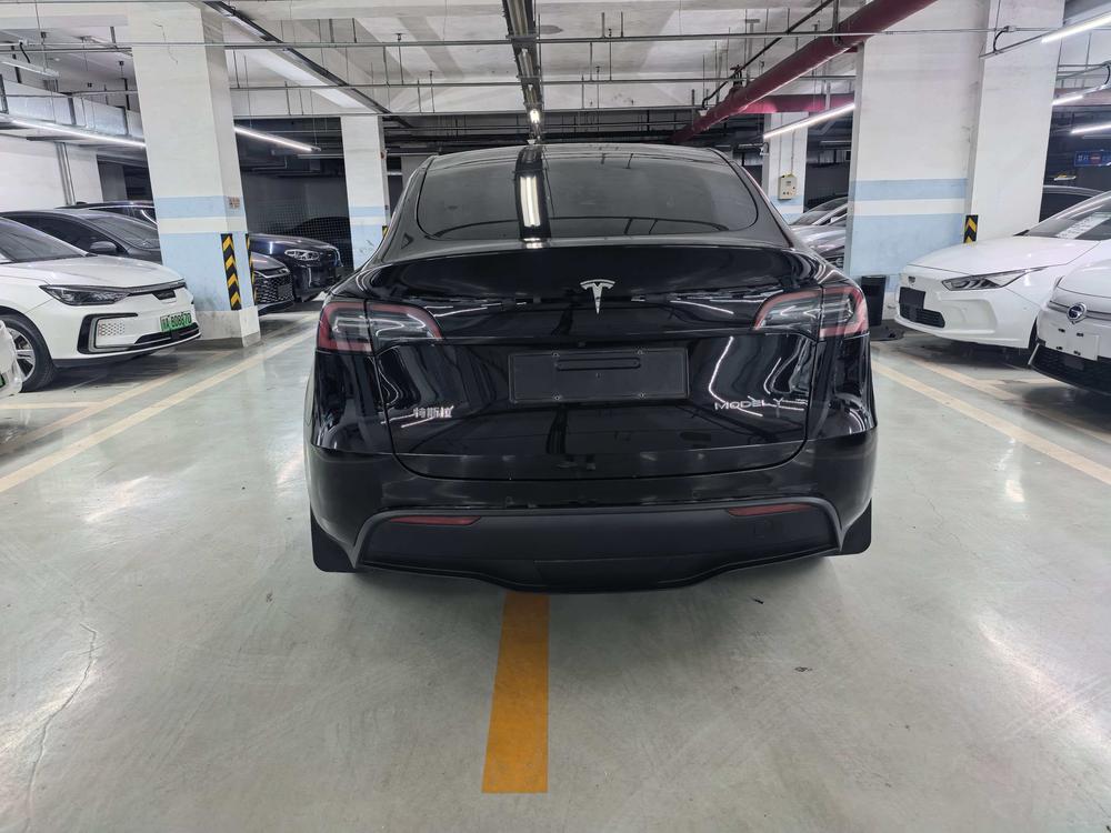 Tesla Model Y 2024 car image #6