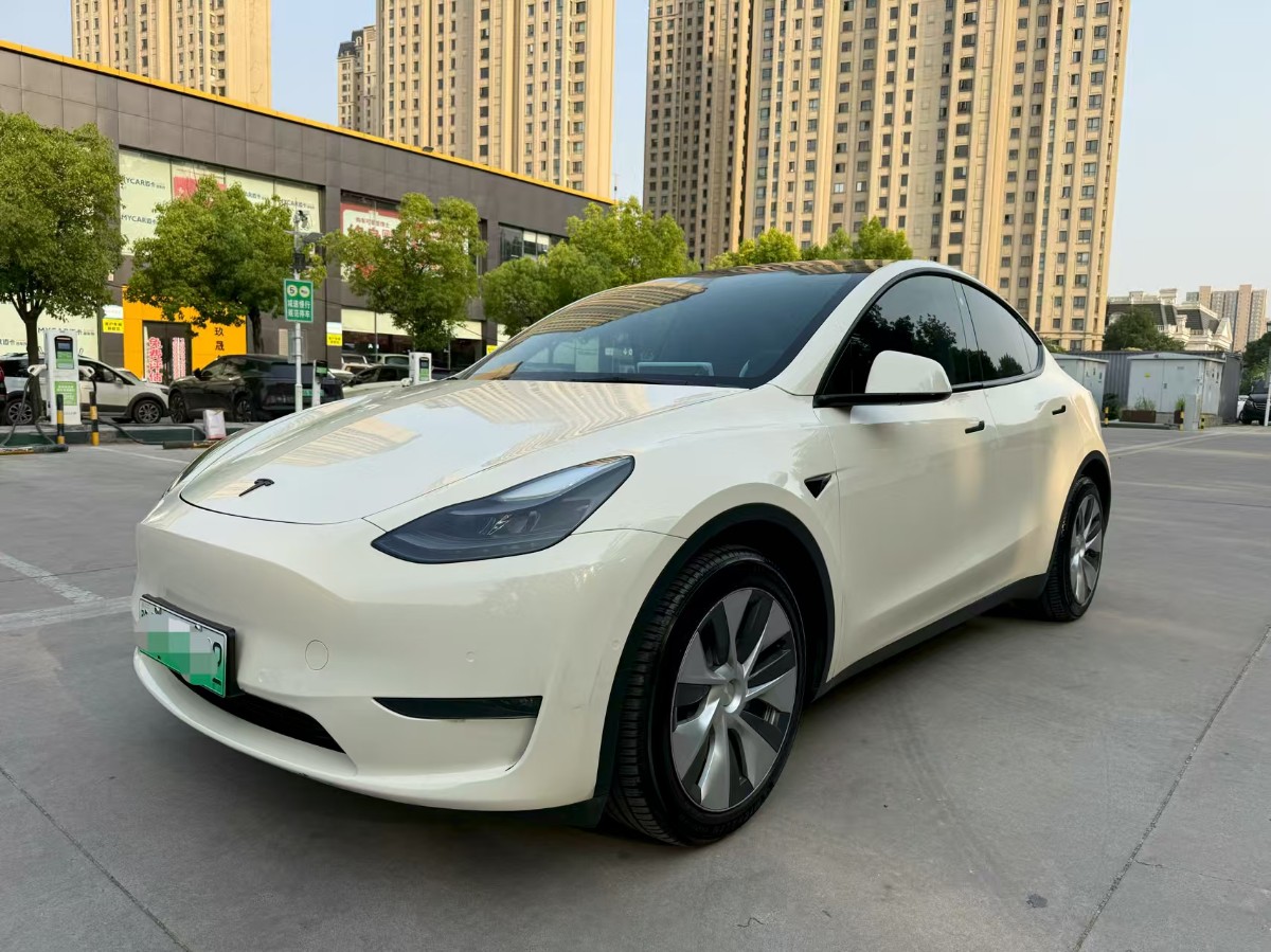 Tesla Model Y 2021 car image 