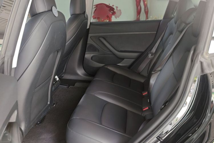 Tesla Model 3 2020 #17 Tesla Model 3 2020 car image #17